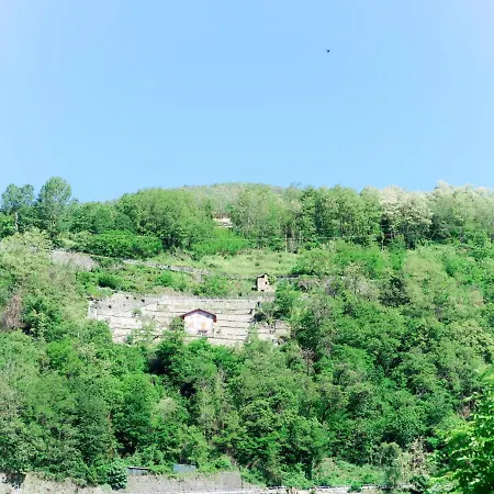 Casa vacanze Residenza La Sassicaia By Interhome Dongo