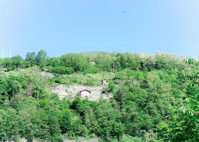 Дом отдыха Residenza La Sassicaia By Interhome Донго